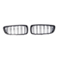 BMW F80/F82/F83 M3/M4 LP Carbon Front Grille