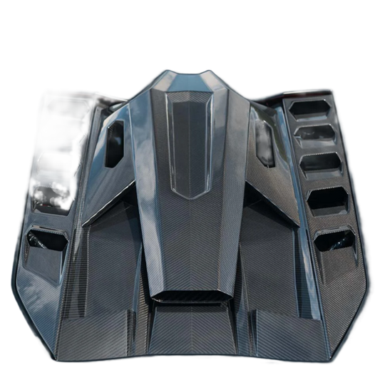 Lamborghini Revuelto Carbon Engine Cover & Roof Scoop – CT Design